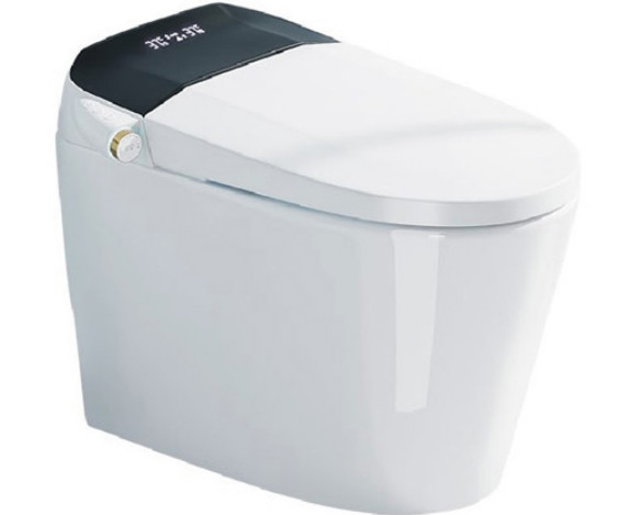 670 X 400 X 500mm Smart Wall Hang Toilette Intelligente Siphonische Wandmontierte Smart Toilette